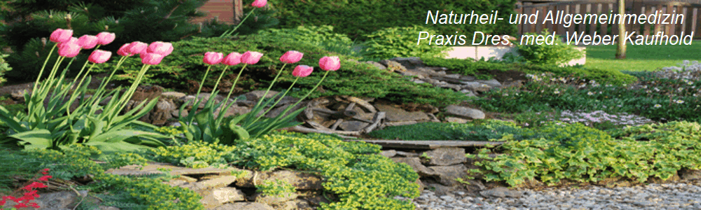 Naturheil- und Allgemeinmedizin
Praxis Dres. med. Weber Kaufhold