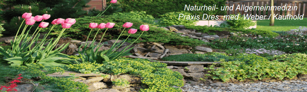 Naturheil- und Allgemeinmedizin
Praxis Dres. med. Weber / Kaufhold